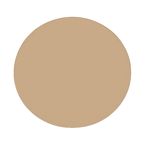 Artistry Exact Fit Powder Foundation